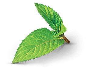 Левоментол 